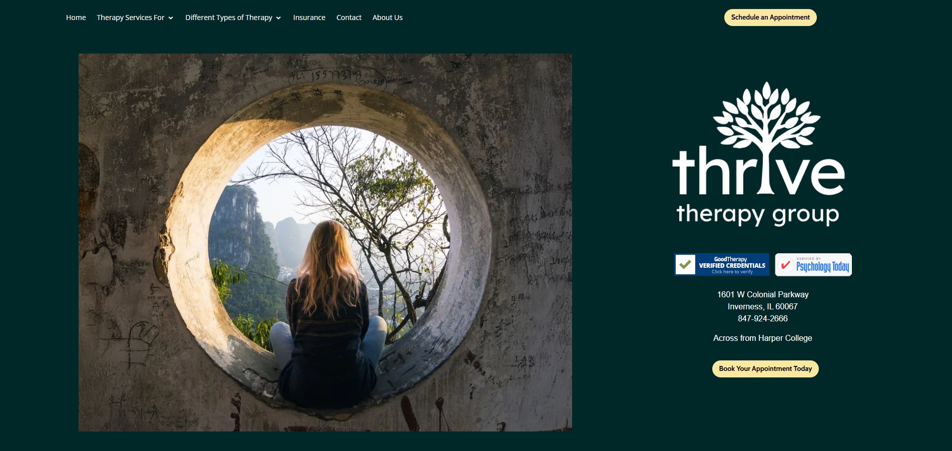 Thrive Now Inc website preview