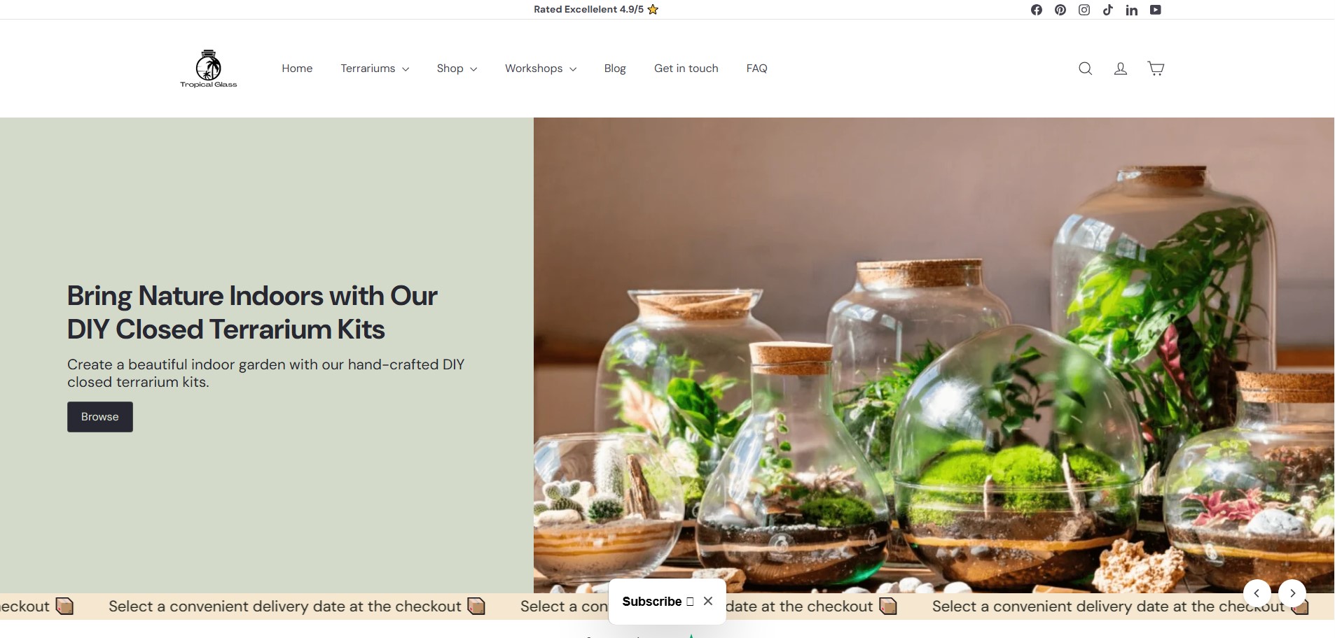 Tropicalglass website preview