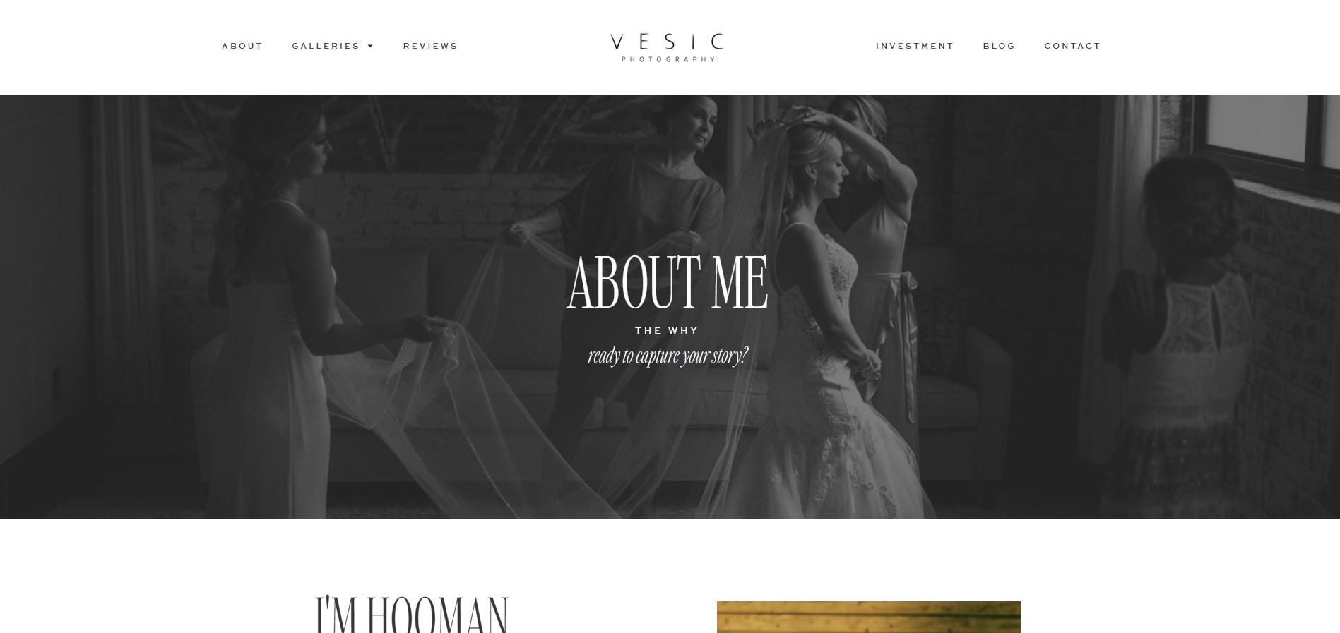 Vesic website preview