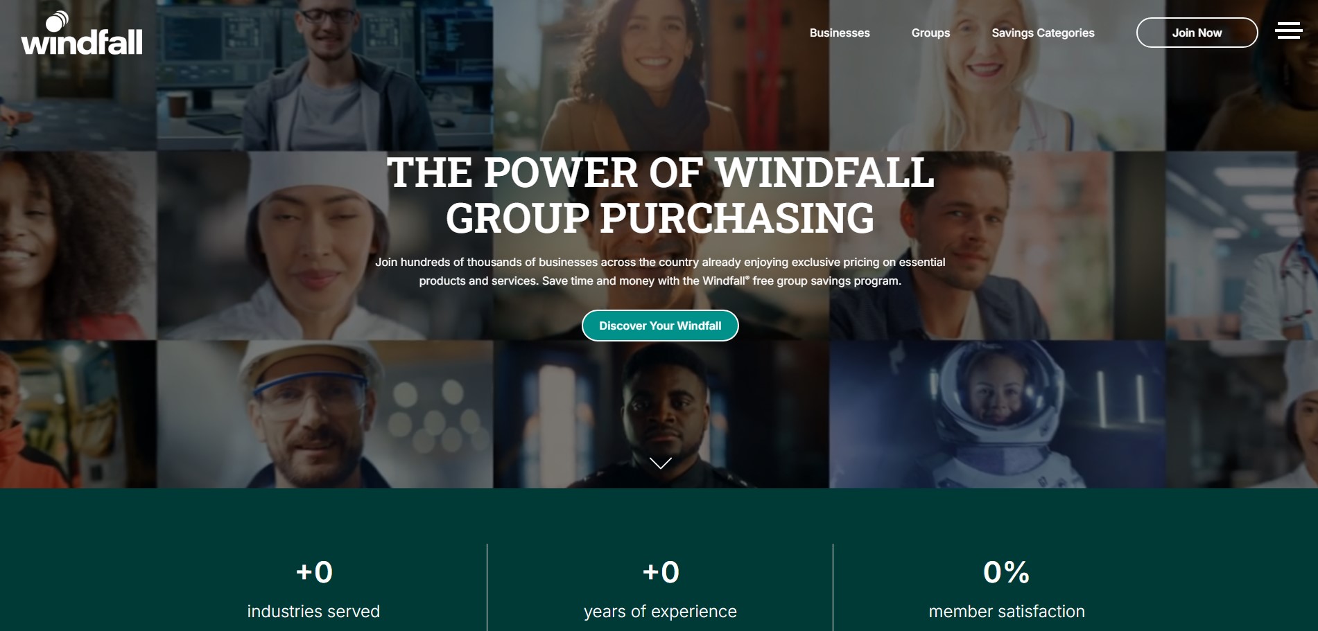 Windfall GPO website preview